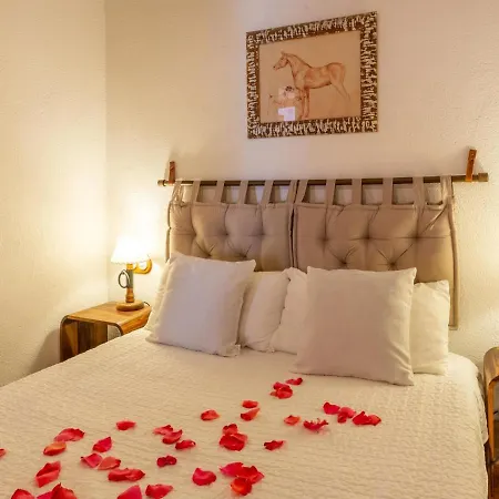 Ninfa By Danlux Invest Nyaraló Tossa de Mar